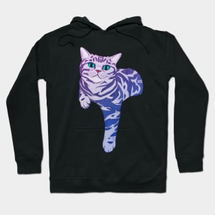 Purple Persian Charlie Hoodie